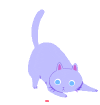 cat chasing a laser
